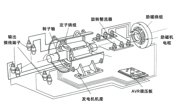 無刷交流發(fā)電機結構圖.png