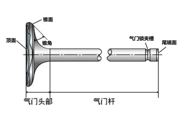 柴油發(fā)動機氣門結構圖.png